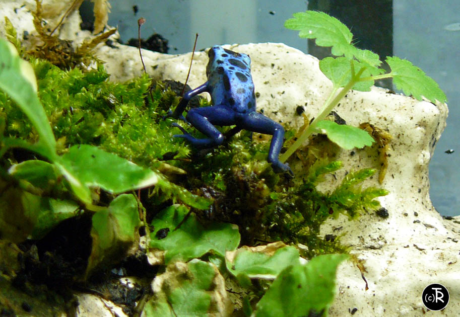 P1030828 copie.jpg